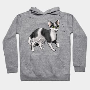 Cat - Devon Rex - Black and White Hoodie